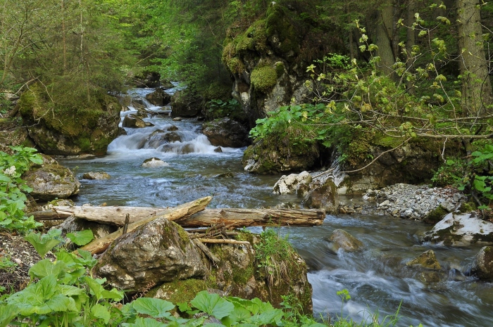 Jarní bystřina, Vlkanová